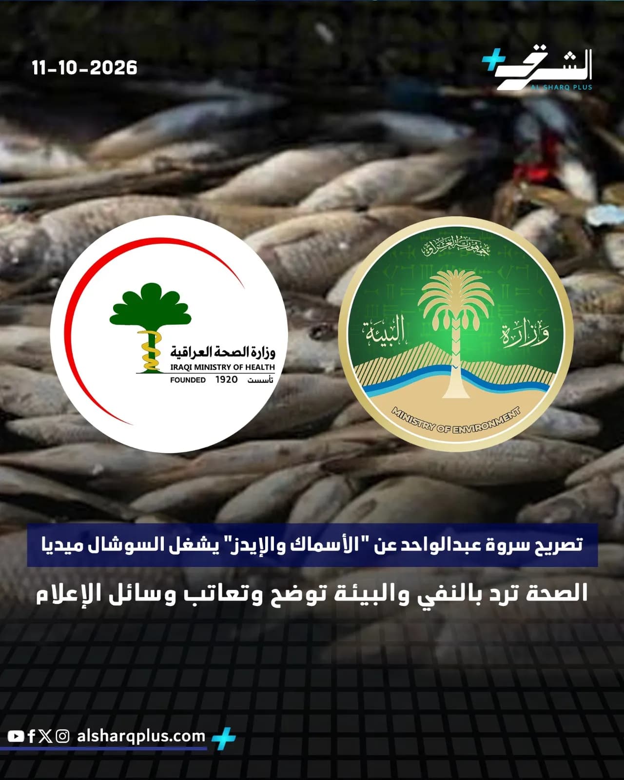 سمك نافق مكدس، وشعارات لوزارتي الصحة والبيئة العراقية، وعنوان عن تصريح يخص السمك والإيدز.